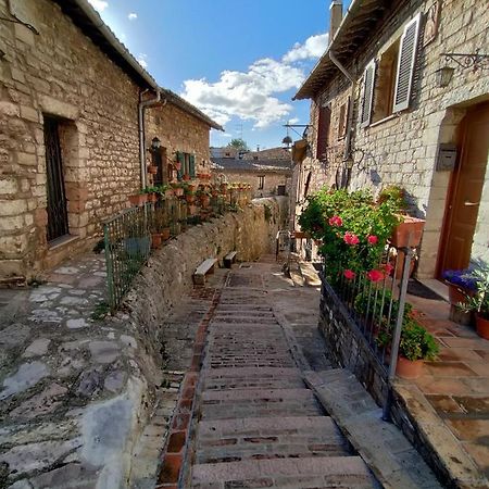 Le Casette Di Franco & Anna Assisi Dış mekan fotoğraf